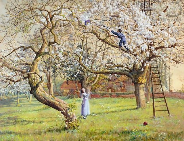 In A Cherry Orchard - Tristram Ellis
