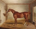 'Whittington', A Favourite Bay Hunter In A Stable - David of York Dalby