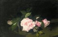 Pink Roses - James Stuart Park