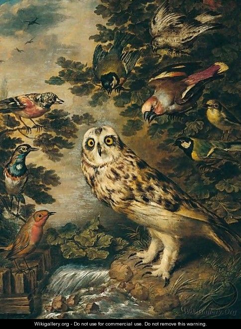An Owl Mocked By Other Birds - (after) Ferdinand Phillip De Hamilton