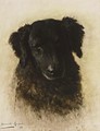 A Dog - Henriette Ronner-Knip