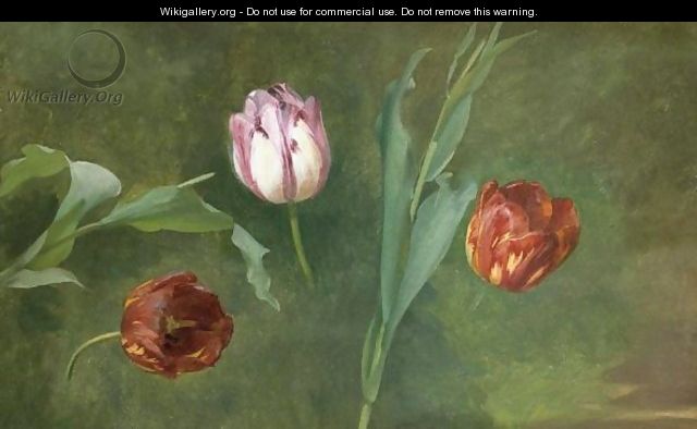 A Study Of Three Tulips - French School