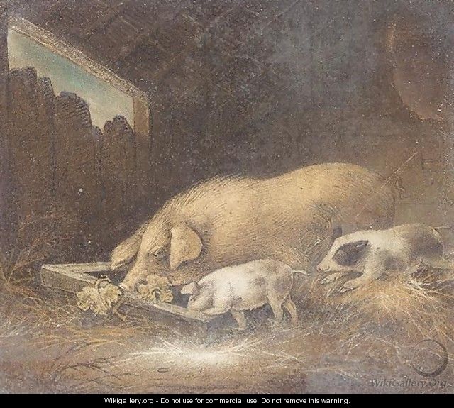 Inside The Pig Sty - Benjamin Zobel