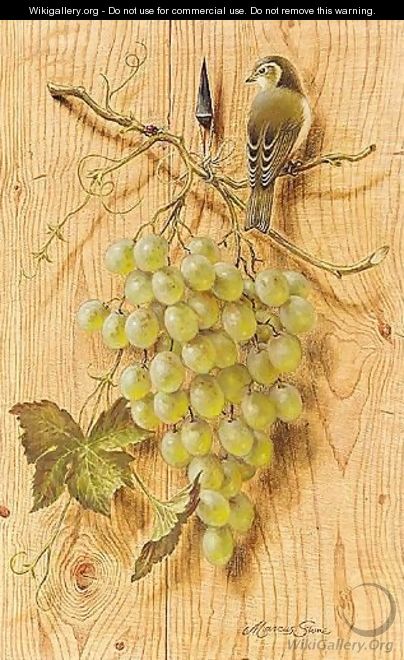 Bush Warbler With Grapes - Marcus Stone