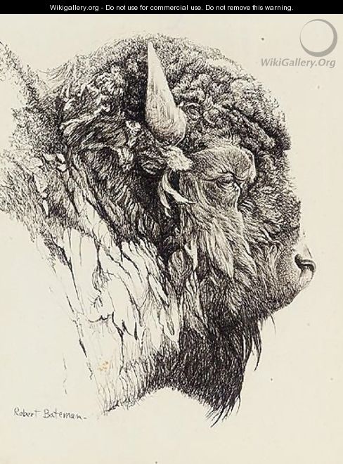 Bison Head - Robert Bateman