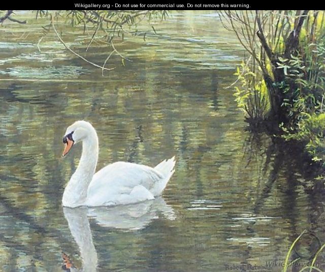 Mute Swan - Robert Bateman