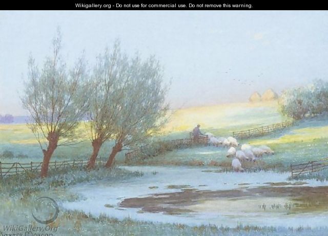 Sheep Watering - Baxter Morgan