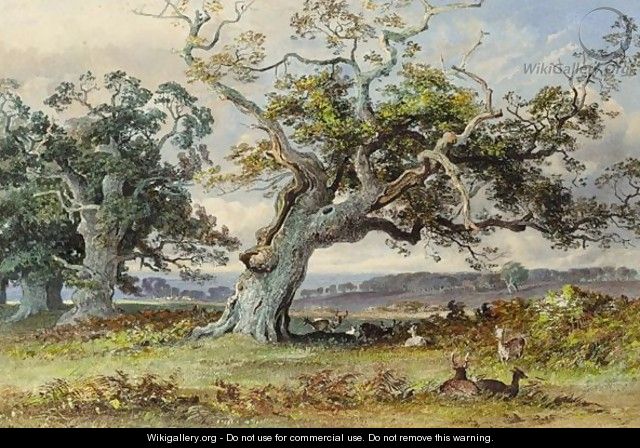 Deer In A Park Resting In The Shade Of An Old Oak Tree - George Arthur Fripp