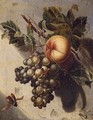 Still Life With Grapes And A Peach - (after) Willem Grasdorp