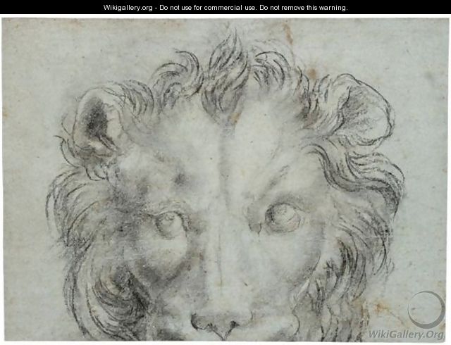 The Head Of A Lion - Annibale Carracci