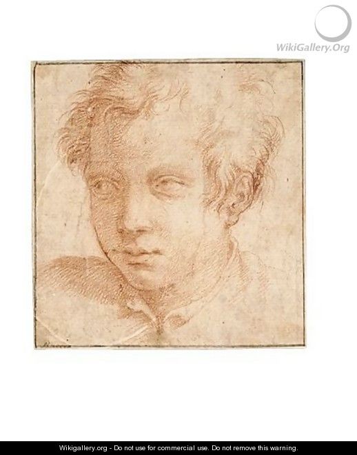 Portrait Of A Young Man - (after) Francesco De