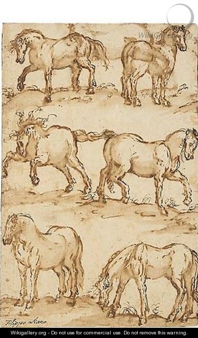 Six Studies Of Horses - Filippo Napoletano