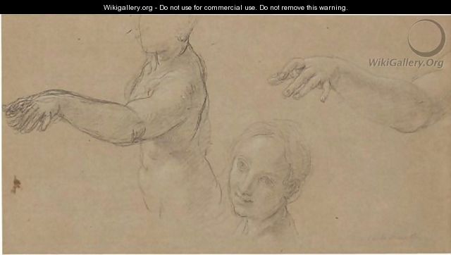 A Sheet Of Studies Of A Female Nude Her Torso, Face And Outstretched Arm - Carlo Maratta or Maratti