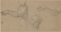 A Sheet Of Studies Of A Female Nude Her Torso, Face And Outstretched Arm - Carlo Maratta or Maratti