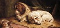 A Spaniel And A Terrier - John Fitzmarshall