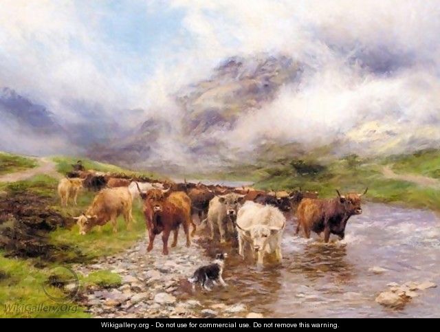 Fording Highland Cattle - Peter Graham