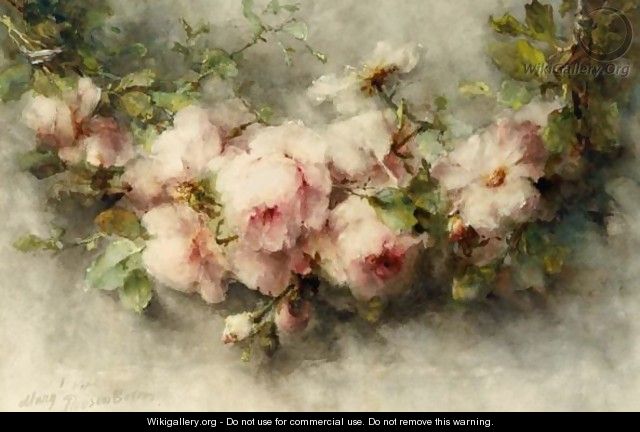 A Swag Of Pink Roses - Margaretha Roosenboom