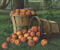 Baskets Of Peaches - Levi Wells Prentice