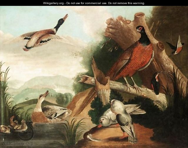 Still Life With Ducks, Kingfishers, Doves And A Pheasant In A River Landscape - (after) Marmaduke Cradock