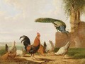 The Poultry Yard - Albertus Verhoesen