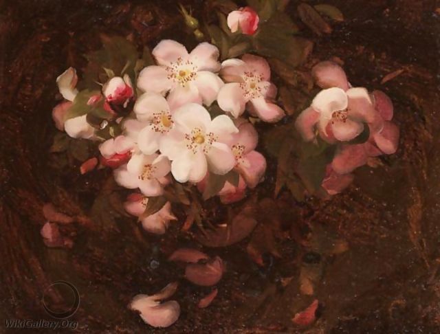 Still Life With Pink Wild Roses - James Stuart Park