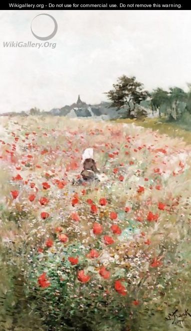 Poppy Field - Lucien Frank