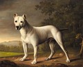 A Bull Terrier In A Landscape - George Nairn