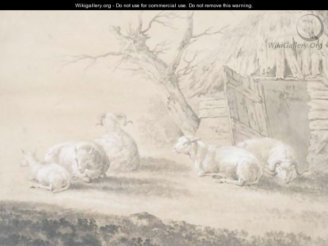 Sheep Before A Barn - Dutch School