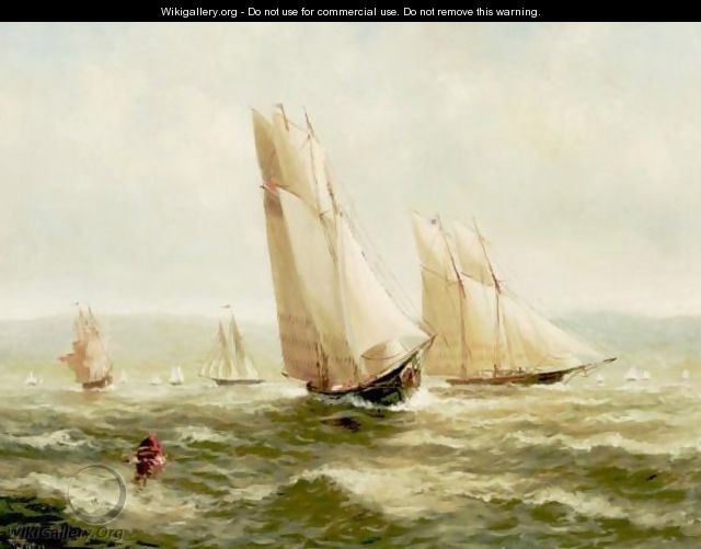 Sailing Boats - Wesley Webber