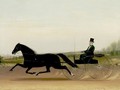 A Trotter And Sulky - James J. Mcauliffe