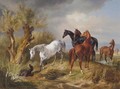 Vollbluter Auf Der Weide (Thoroughbreds In A Pasture) - Adam Albrecht