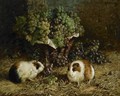 Guinea Pigs And A Basket Of Grapes - Antonio Delle Vedove