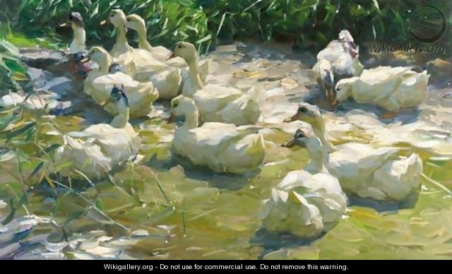 Ducks On A Lake 3 - Alexander Max Koester