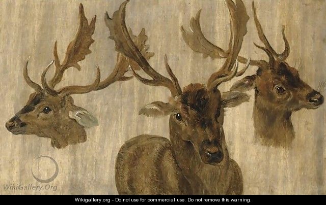 Three Head Studies Of A Roebuck - Jan, the Younger Brueghel