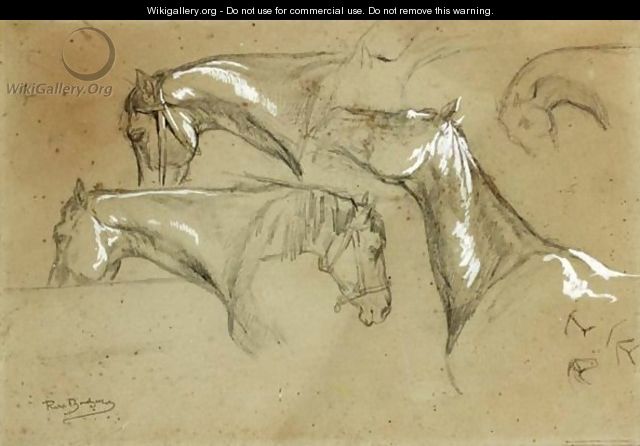 Studies Of Horses - Rosa Bonheur