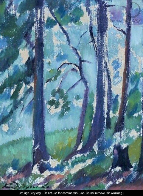 Sketch Of Trees In A Forest - Konstantin Vikentevich Dydyshko