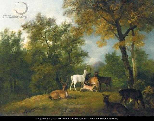 Red Deer Grazing Beneath Trees - (after) George Barret