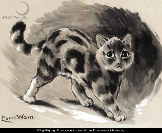 Study Of A Kitten - Louis Wain