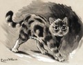 Study Of A Kitten - Louis Wain