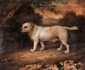 Dog In A Landscape - English Provincial School