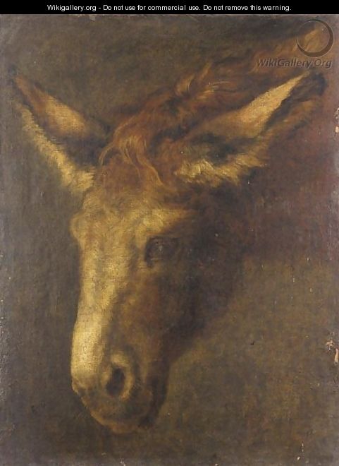 A Study Of The Head Of A Donkey - (after) Peeter Boel