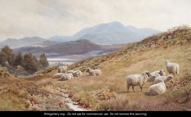 Sheep On The Fells - Frederick John Williamson