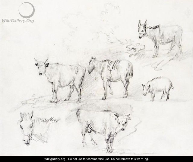 Study Of Horses, Cows, A Donkey And A Pig - Thomas Gainsborough