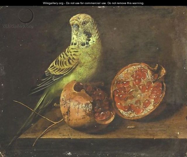 Still Life With A Parrot And A Pomegranate - Continental-American School