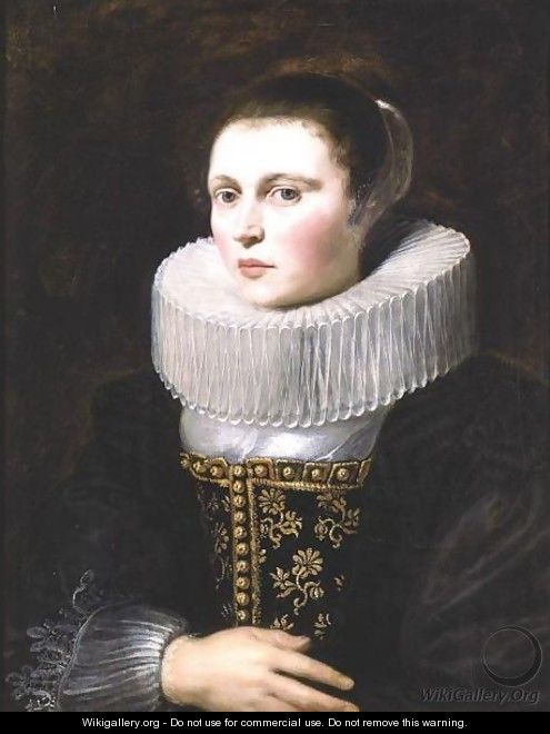 Portrait Of A Lady 2 - Cornelis De Vos
