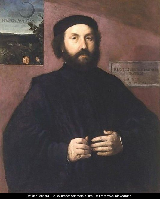 Portrait Of A Venetian Senator - Lorenzo Lotto