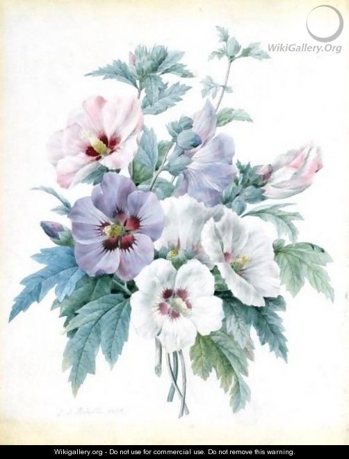 A Bouquet Of Rose Of Sharon (Hibiscus Syriacus) - Pierre-Joseph Redouté