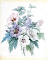 A Bouquet Of Rose Of Sharon (Hibiscus Syriacus) - Pierre-Joseph Redouté