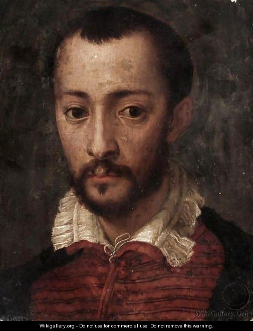 Portrait Of Francesco I De