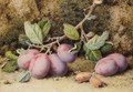 Still Life With Plums - William B. Hough